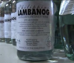 lambanog 1