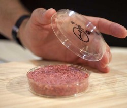 why-googles-sergey-brin-paid-330000-for-the-worlds-first-lab-grown-burger